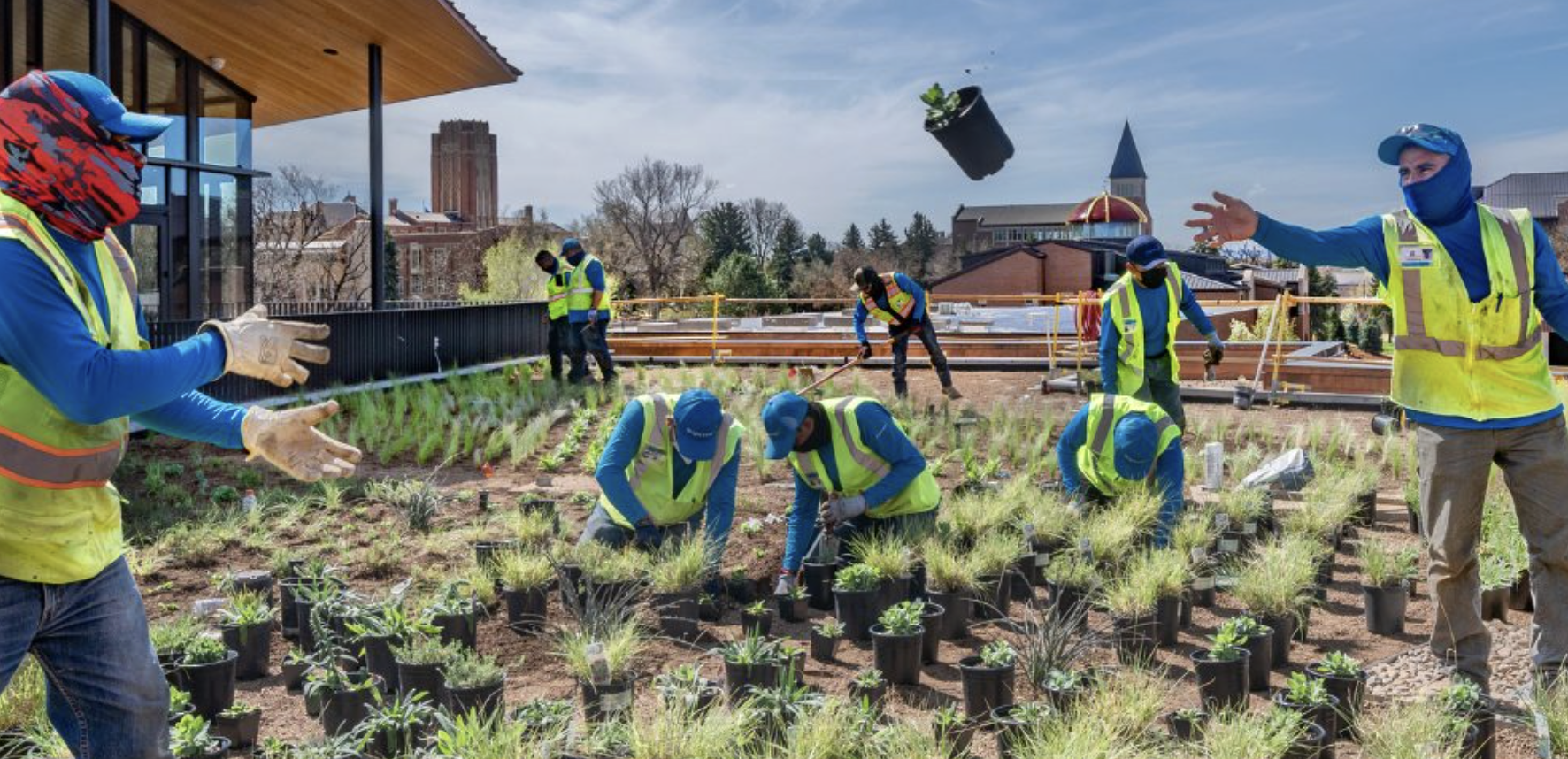 A BrightView landscaping crew in blue shirts and safety vests planting a green roof garden on a commercial property
