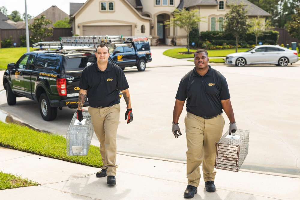 Two Critter Control wildlife technicians in branded polo shirts walking up a suburban driveway carrying humane traps