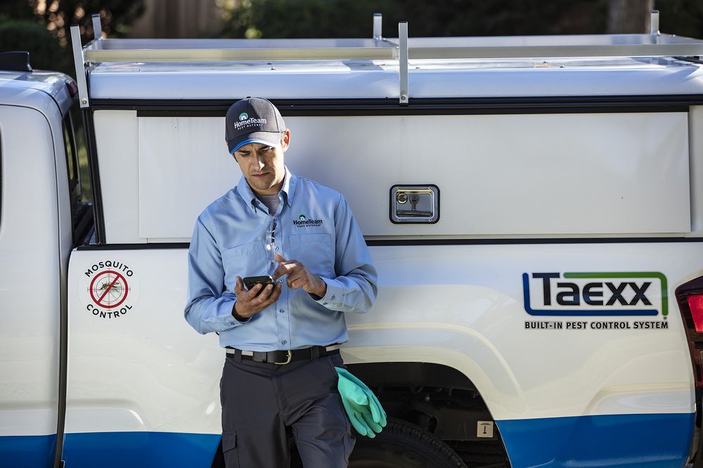 A HomeTeam technician checking his phone beside a Taexx built-in pest control truck