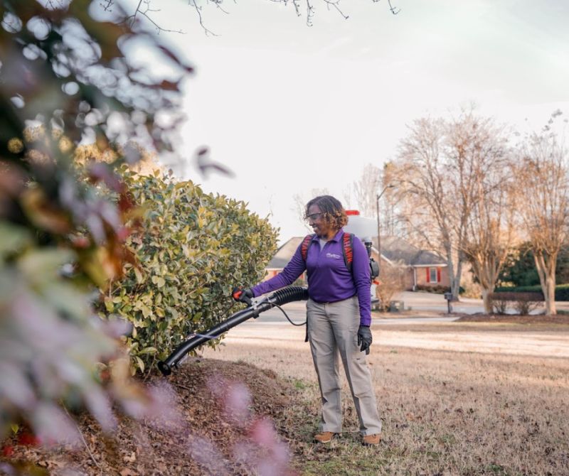 MissQuito technician using a backpack sprayer to treat shrubs with eco-friendly methods