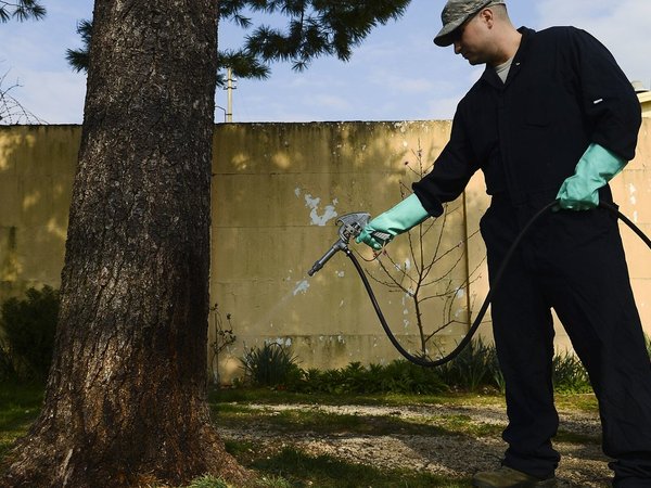 Pest and wildlife management professional
