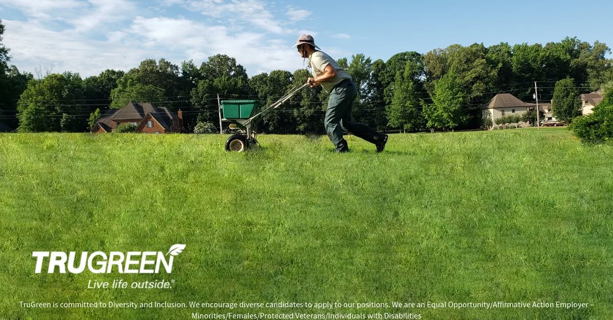 A TruGreen lawn care technician using a broadcast spreader to treat a large green lawn