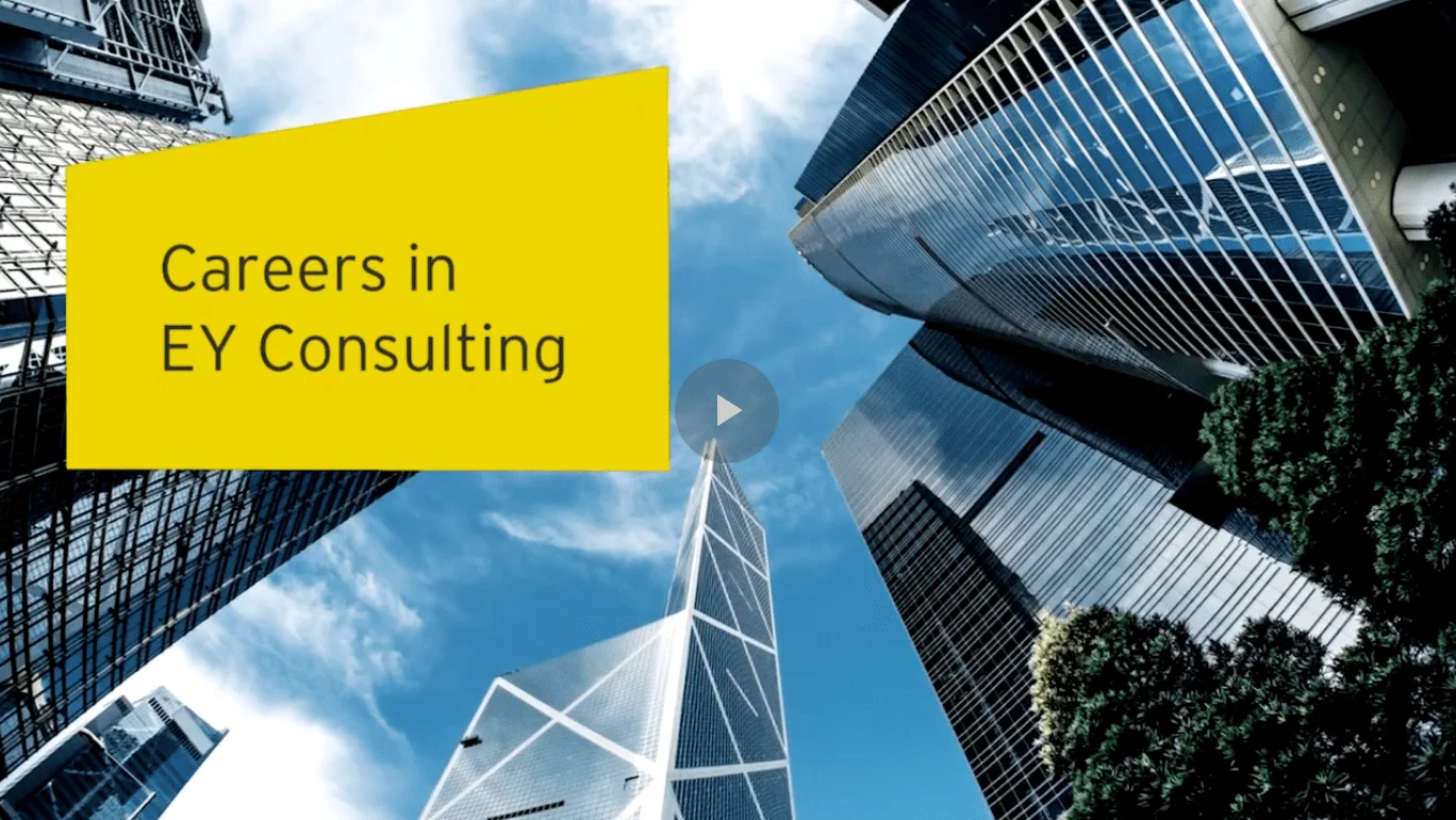 EY Professional Consulting Services