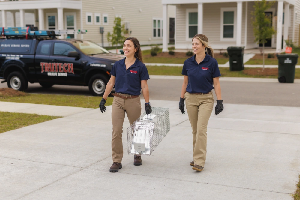 Two young female TruTech employees carrying a trapping cage