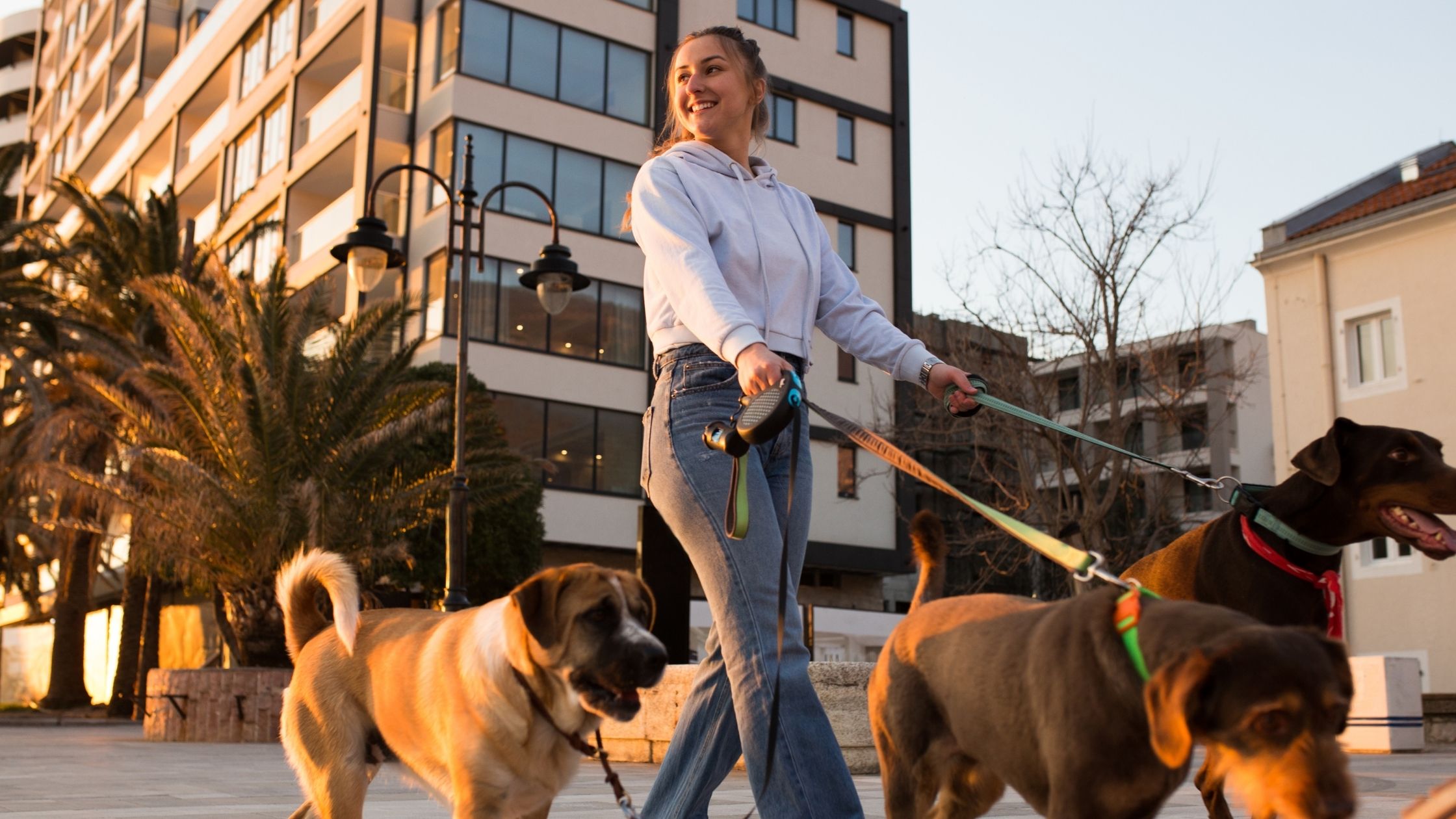 Student walking three dogs, smiling.